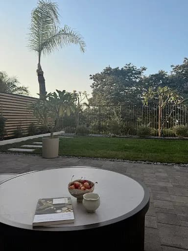 Living Lawn Transformation