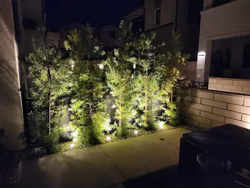 Comprehensive Site Renovation