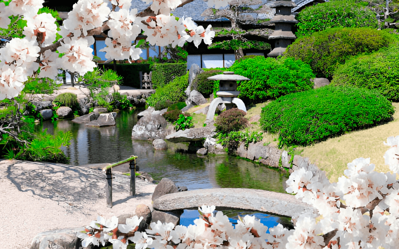 3D landscape design rendering showing a luxury backyard with pool and fire pit