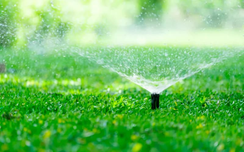 The Complete Guide to Artificial Turf Installation