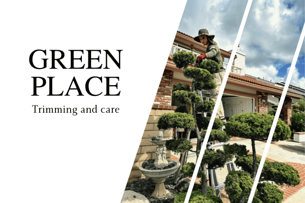 Comprehensive Site Renovation